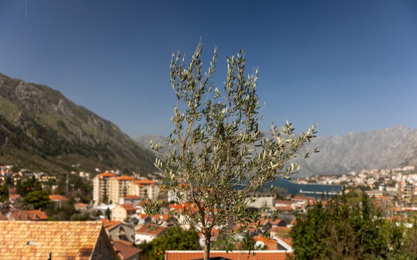 Prodaja kuce u Kotoru – sa pogledom na more i Stari grad